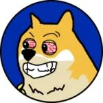 maxi-doge crypto nieuwe cryptomunt met veel potentie