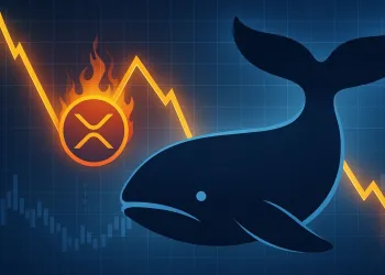 XRP Whale Activity Signals Warning: Distribution Pattern Resurfaces