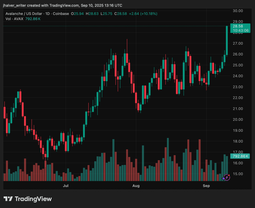 Avalanche AVAX AVAXUSD