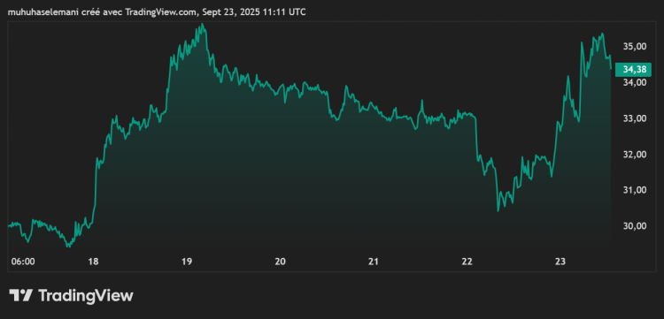 Avalanche crypto bull run