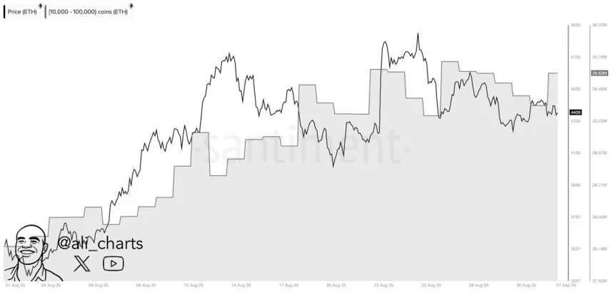 Las ballenas añaden 260,000 Ethereum en 24 horas | Fuente: Ali Martinez