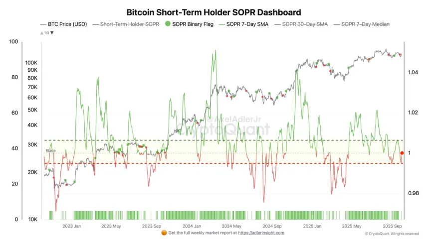 Bitcoin STH SOPR Dashboard | Source: Axel Adler