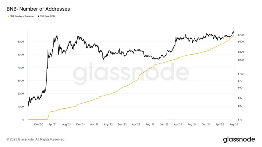 Número de direcciones de Binance Coin (BNB) | Fuente: Darkfost