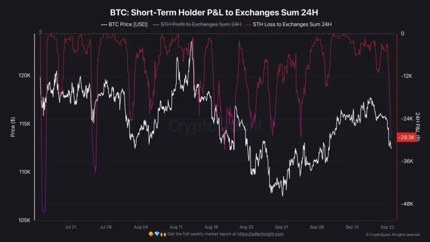 Bitcoin Short-Term Holder P&L to Exchanges | Source: Darkfost