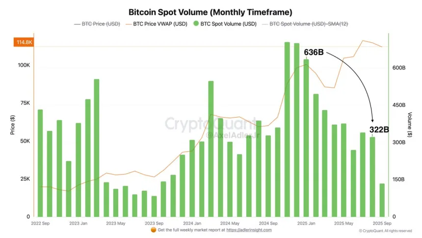 Bitcoin Spot Volume | Source: Axel Adler