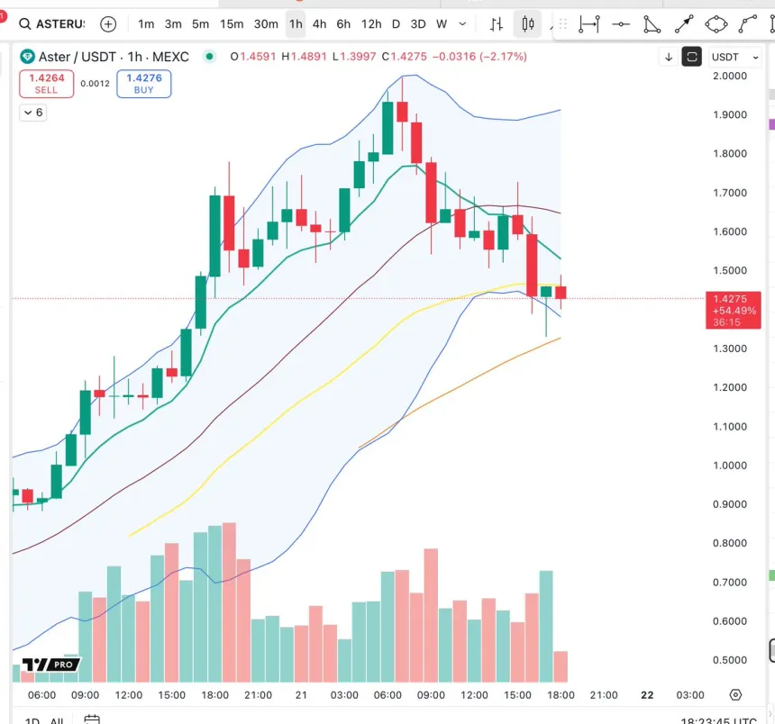 Aster probando el soporte crítico | Fuente: Big Cheds