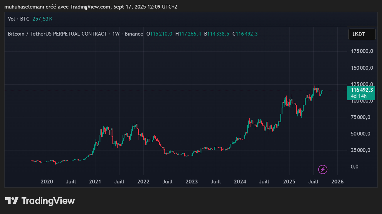 Bitcoin USDT 150 000 dollars