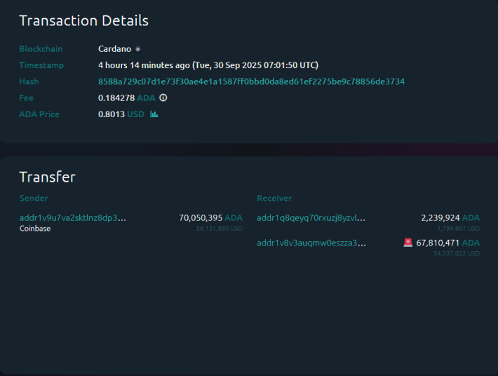 Cardano Whale Transaction