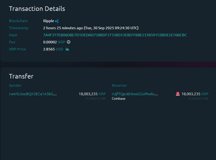 Entrada de ballena XRP