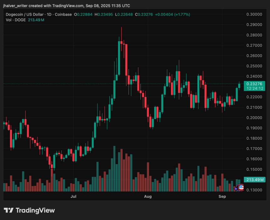 Dogecoin DOGE DOGEUSDT
