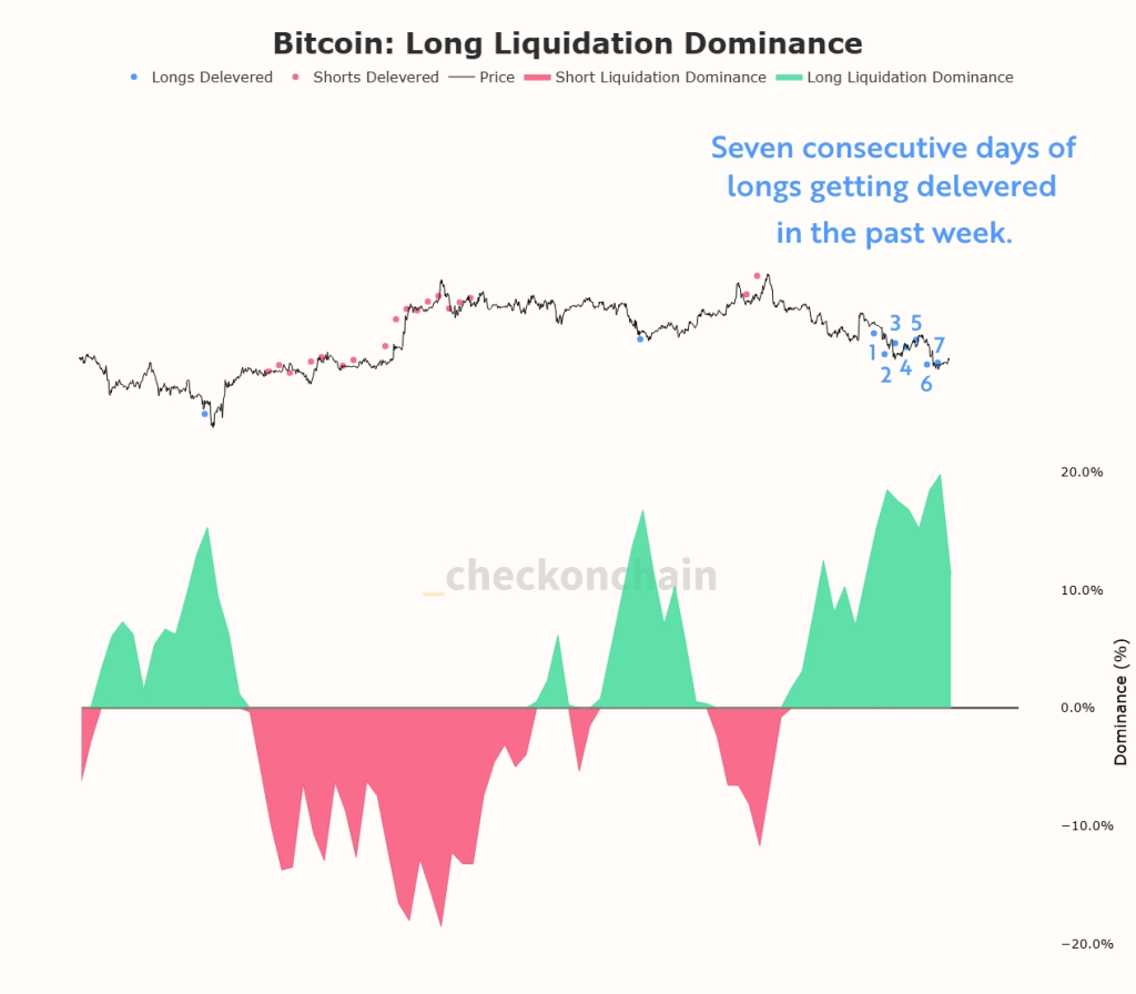 Bitcoin Long Liquidation Dominance