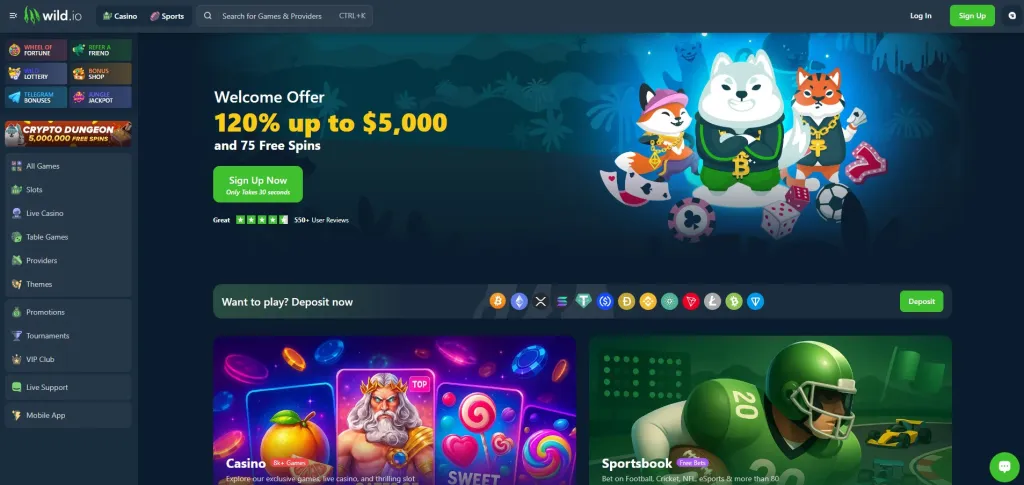 9. Wild.io — Privacy-Focused Crypto Casino