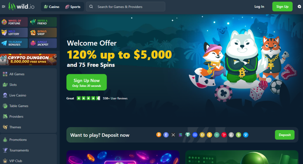 9. Wild.io – Modern Crypto Casino with Fast Payouts