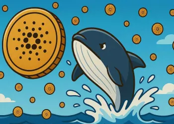 Cardano whales verkopen $100M ADA tijdens crypto crash - perfecte instap moment?