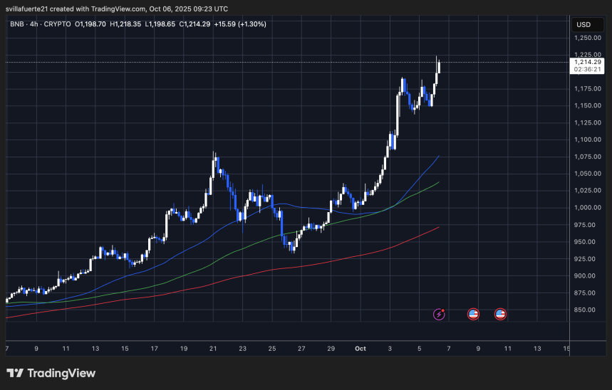 Precio Probando territorio inexplorado | Fuente: gráfico BNBUSDT en TradingView