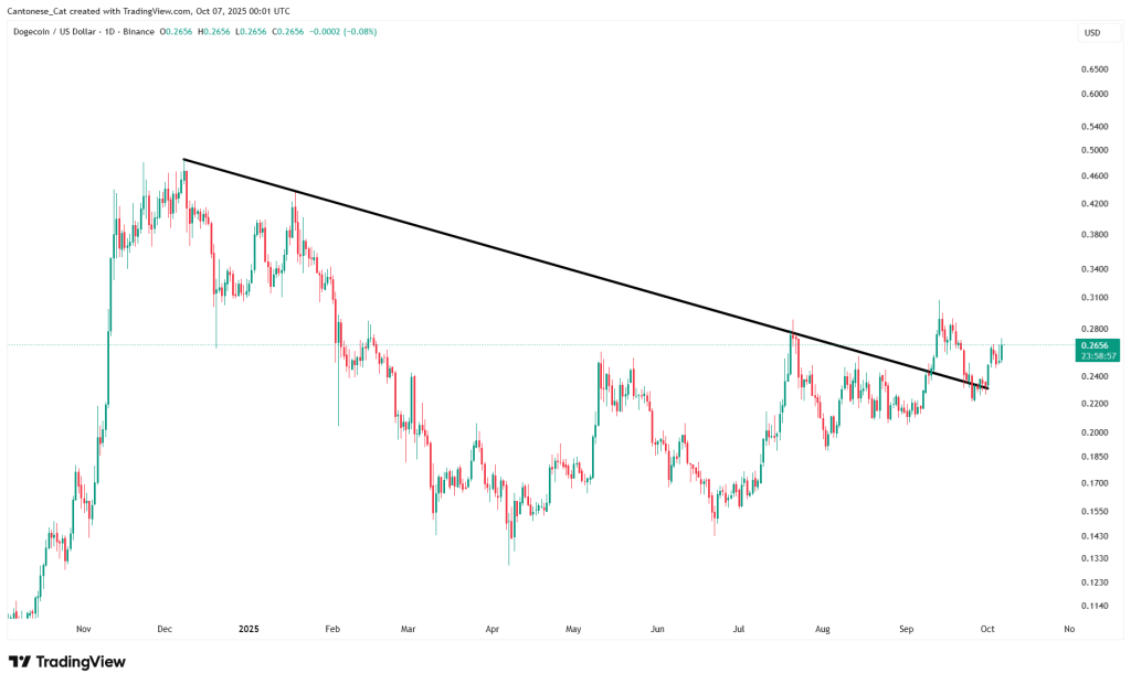 Dogecoin daily chart analysis
