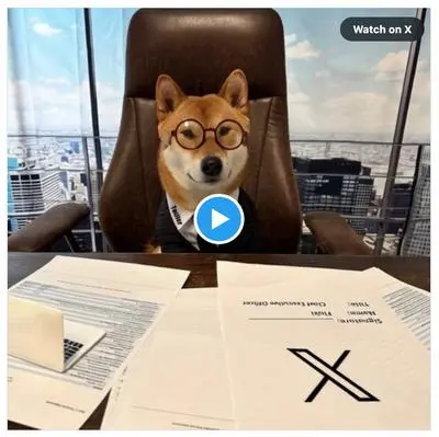 Elon Musk tweet meme coin Floki