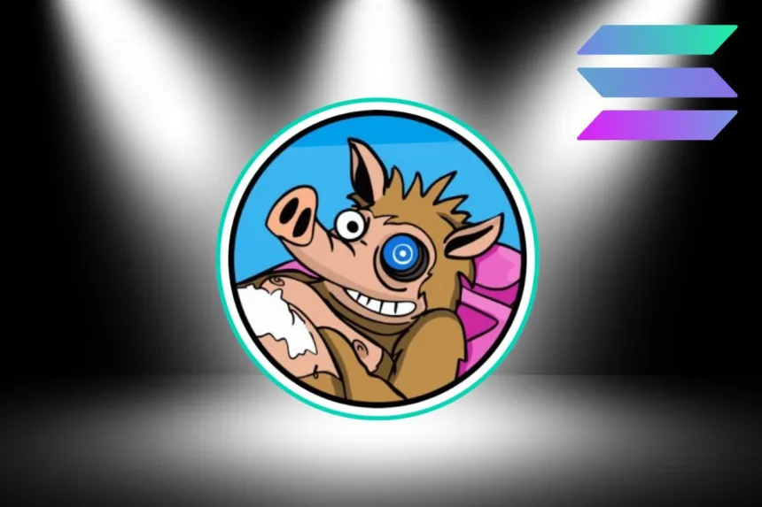 Snorter solana προπώληση