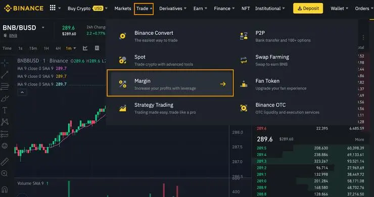 Binance margin trading