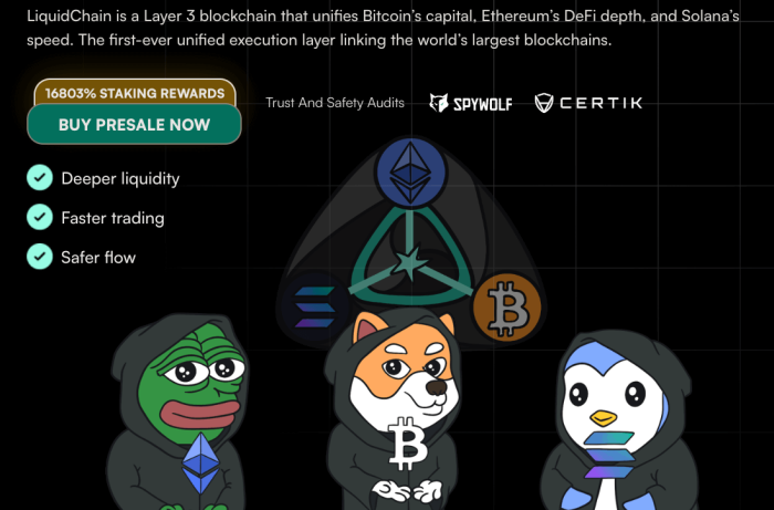 LiquidChain’s meme branding using Solana and Ethereum memes.