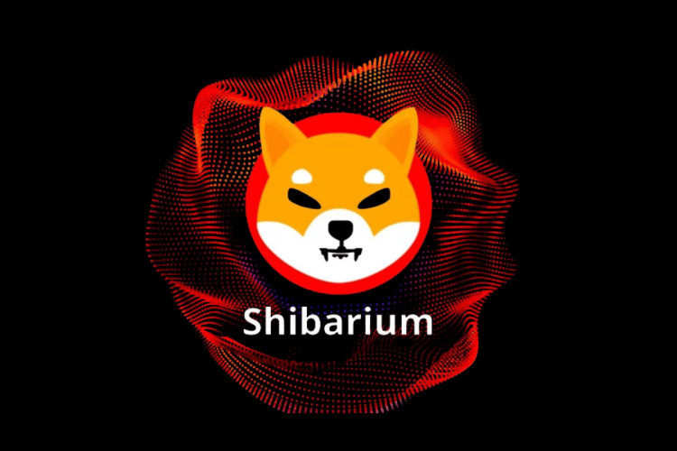 meme coins shibarium