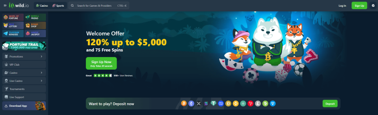 Wild.io frontpage with banner displaying a 120% welcome bonus up to $5,000