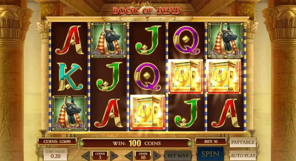 Wilds & Special Symbols  on Book Of Dead Slot Game