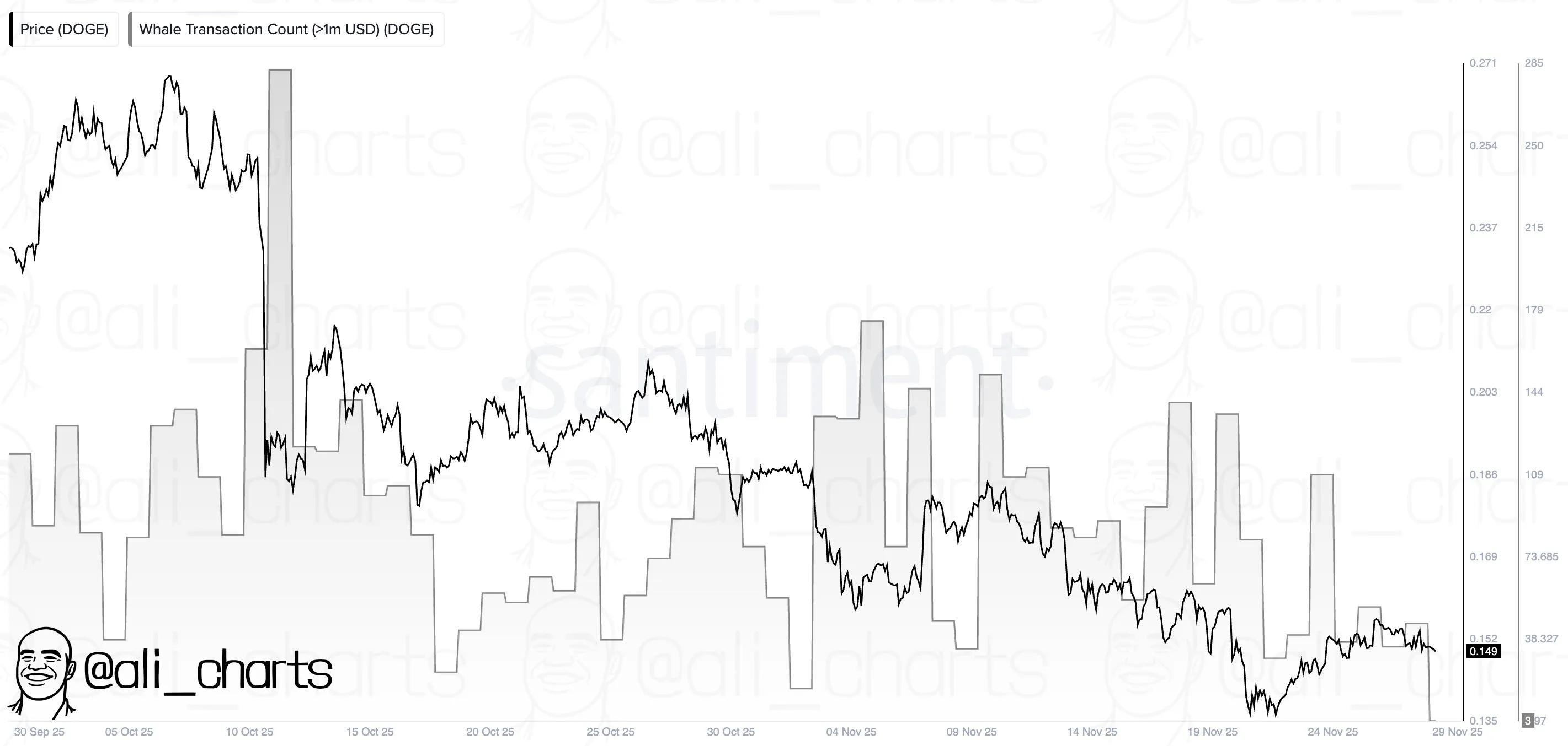 Dogecoin whale activity