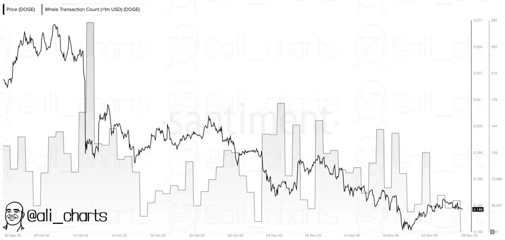Dogecoin whale activity