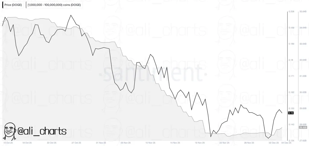 Dogecoin whale activity