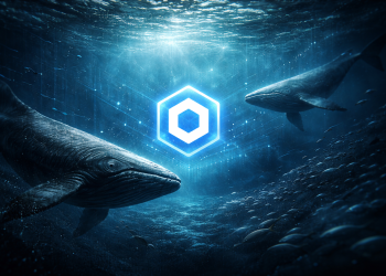 Chainlink Whales