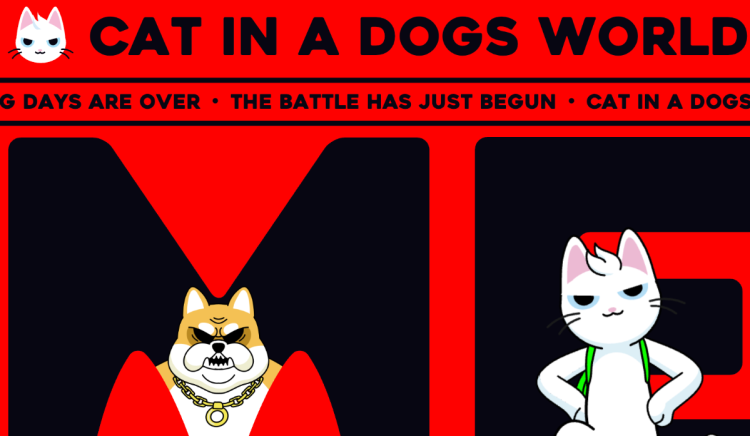 3. Cat in a Dogs World ($MEW) - katė, metusi iššūkį šunų užvaldytai Solanai