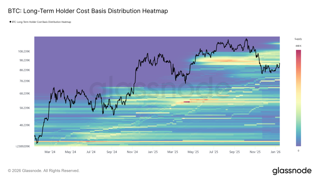 Bitcoin long-term holder cost basis distribution heatmap