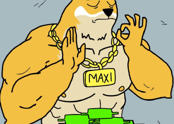 Cost-Averaging SPX6900 Crushed the HODLers